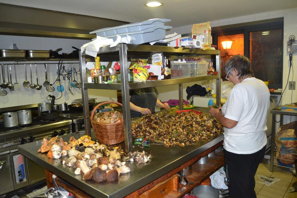 Hostal La Muntanya Castellar De N'Hug Zewnętrze zdjęcie